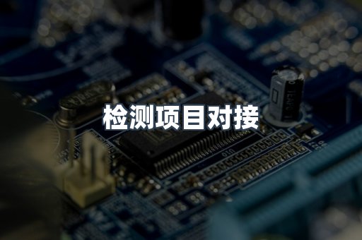 检测项目对接
